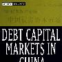 中国的借入资本市场Debt Capital Markets in China