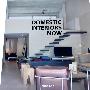 Domestic Interious Now当代家庭室内设计
