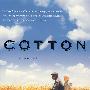 棉纱 Cotton