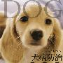 犬病防治1000问