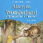 Alice in Wonderland爱丽斯漫游仙境