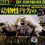 动物性行为2(VCD)