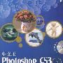 中文版Photoshop CS3多媒体教学风暴(1DVD)