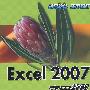 Excel 2007实用教程