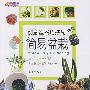 简易盆栽创意盆器巧搭配悠生活·快乐手工坊