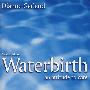 水下分娩：护理视角（第2版）Waterbirth