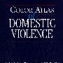 家庭暴力彩色图谱：Color Atlas of Domestic Violence