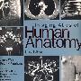 人体解剖影像图谱，国际版（第3版）：Imaging Atlas of Human Anatomy, International Edition