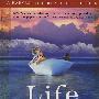 Life of Pi, International Edition 少年Pi的奇幻漂流