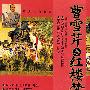 历史人物传记：曹雪芹与红楼梦（DVD）