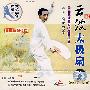 云波:太极扇(VCD)
