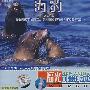 福光可爱的动物：海豹（VCD）