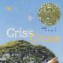 十字形Criss Cross