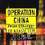 中国业务OPERATION CHINA