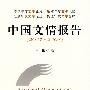 中国文情报告（2007～2008）