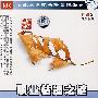 职业枯竭之谜（DVD）