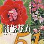 球根花卉51种:种花手册