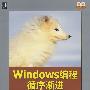 Windows编程循序渐进(附光盘)