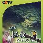 拯救我们的[伙伴]（6DVD）