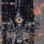 鬼吹灯之龙岭谜窟漫画本（2）