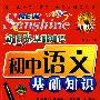 新阳光基础知识 初中语文基础知识