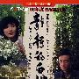 静静的白桦林（8DVD）