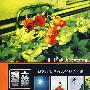 我不知道:小安(CD)