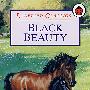 黑美人BLACK BEAUTY