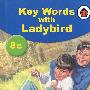 关键词-趣味发音KEY WORDS-FUN WITH SOUNDS