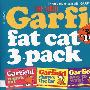 Garfield Fat Cat Three Pack Volume #6加菲猫