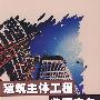 建筑主体工程监理实务
