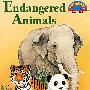濒临灭绝的动物 Endangered Animals