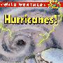 飓风 Hurricanes