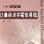 计量经济学实验基础(21世纪经济学教材)