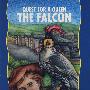 猎鹰 Falcon