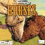 玩具书:马 Groovy Tube Books: Horse