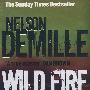 野火 Wild Fire