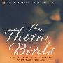 荆棘鸟 Thorn Birds
