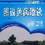 图说鱼病歌诀