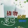 植物扮靓家居