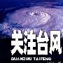《关注台风》