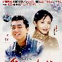 大型电视连续剧：爱在人间（国语发音 中文字幕）（5DVD）