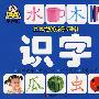 宝宝第一本学习书:识字