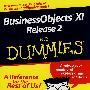 Business Objects XI Release 2 For DummiesBusinessObjects XI Release 软件2代