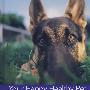 German Shepherd Dog: Your Happy Healthy PetTM, with DVD, 2nd Edition德国牧羊犬：快乐健康宠物，附DVD，第2版