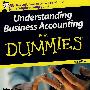 Understanding Business Accounting For Dummies : (UK Edition), 2nd Edition了解商业会计学，第2版