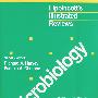 微生物学Microbiology