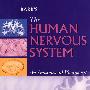 人体神经系统 BARR＇s:the Human Nervous System