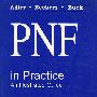 DNF实践 DNF in Practice