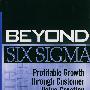 Beyond Six Sigma: Profitable Growth through Customer Value Creation超越六西格玛：创造客户价值与赢得利润增长
